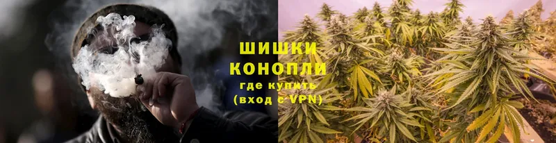 Конопля SATIVA & INDICA  MEGA как войти  Калач  дарнет шоп 